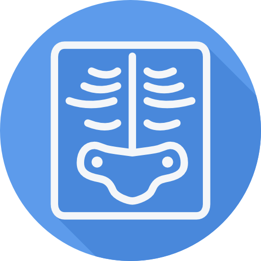 X ray icon