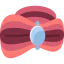 Turban icon 64x64