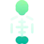 Skeleton 상 64x64
