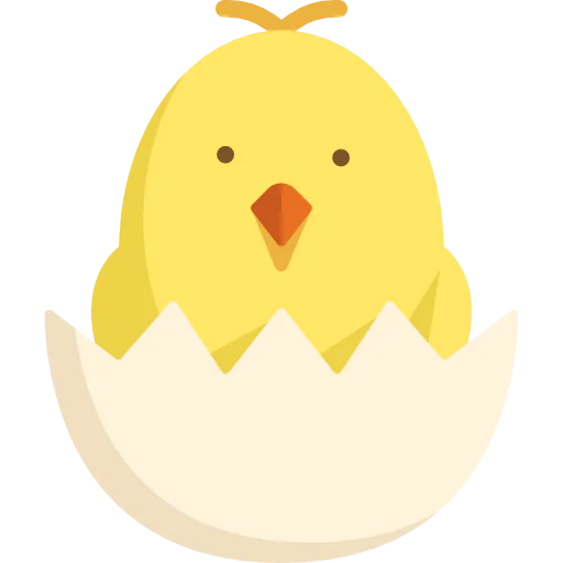 Chicken icon