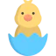 Chicken icon 64x64