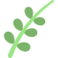Willow icon 64x64