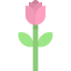 Tulip icon 64x64