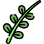 Willow icon 64x64