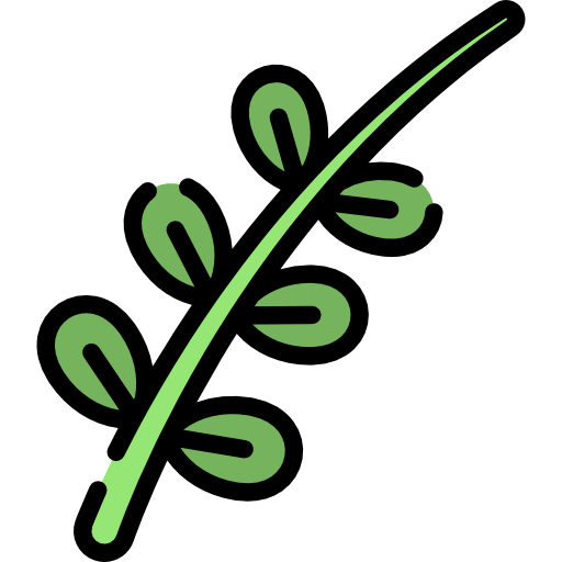 Willow icon