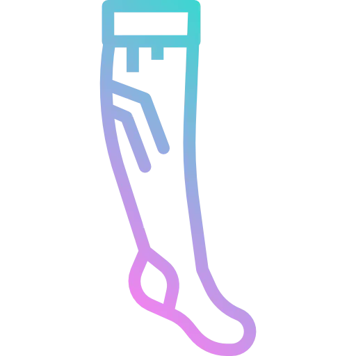 Sock icon