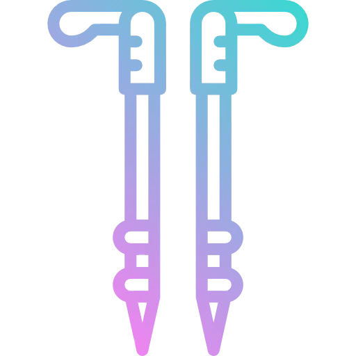 Pole icon