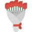 Roses icon 64x64