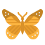 Butterfly icon 64x64