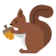 Squirrel icon 64x64