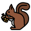 Squirrel icon 64x64