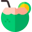 Coconut drink icon 64x64