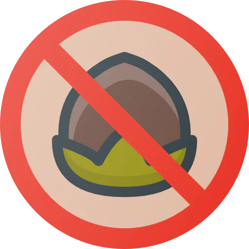 Nut icon