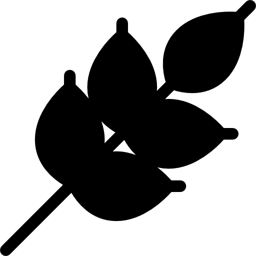 Wheat icon