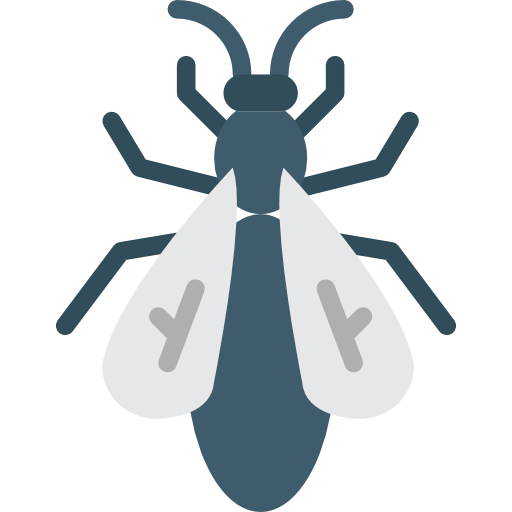 Fly icon