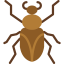 Roach icon 64x64