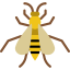 Wasp icon 64x64