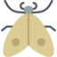 Moth icon 64x64