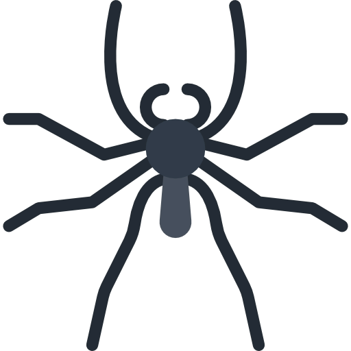 Spider icon