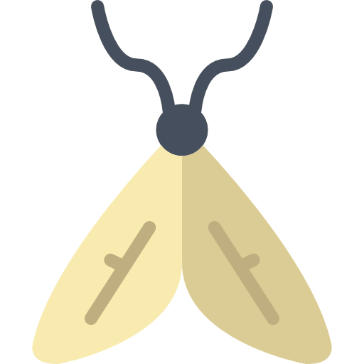 Moth icon