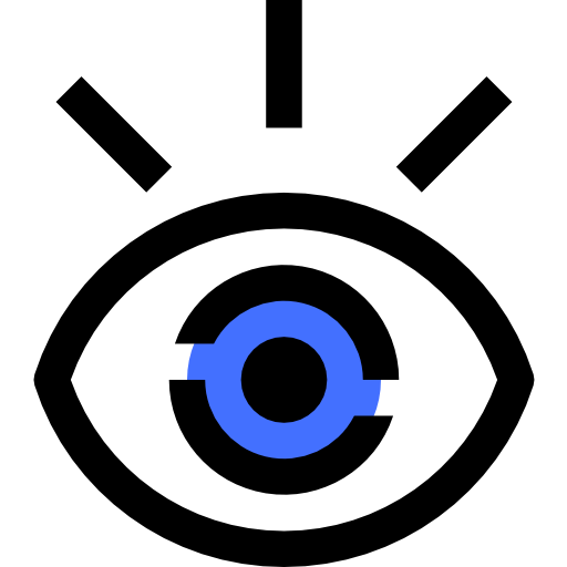 Spy icon