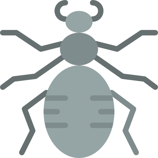 Spider icon