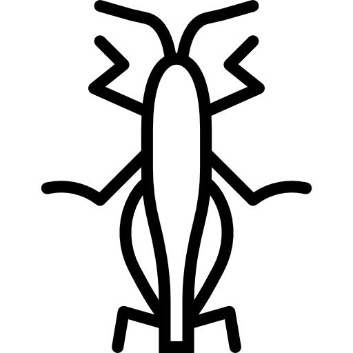 Grasshopper icon