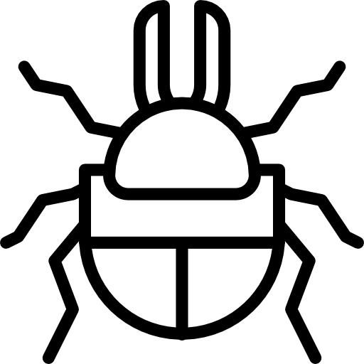 Beetle icon