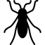 Bedbug icon 64x64