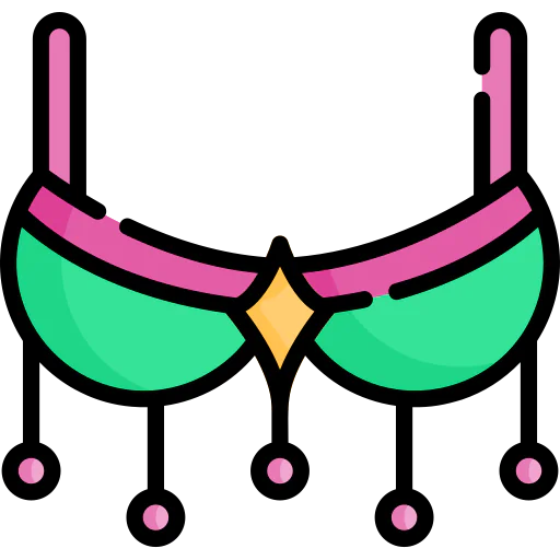 Bra icon