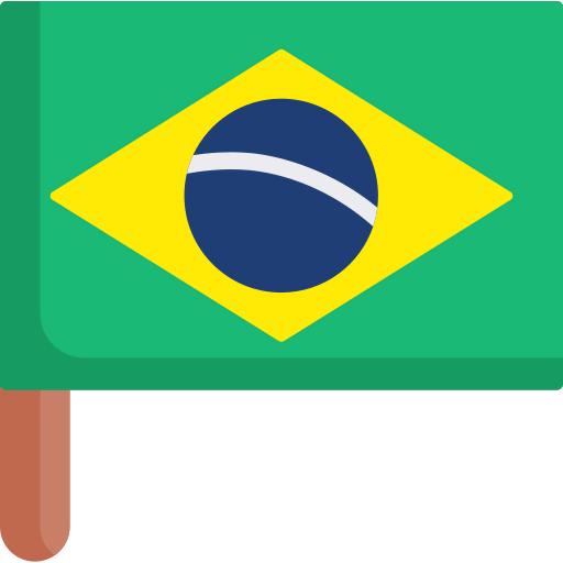 Flag icon