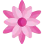 Flower icon 64x64