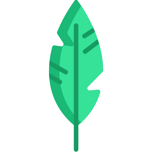 Feather icon