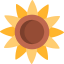 Sunflower icon 64x64