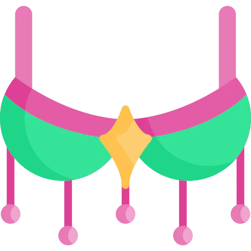 Bra icon