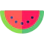 Watermelon icon 64x64