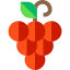 Grapes icon 64x64