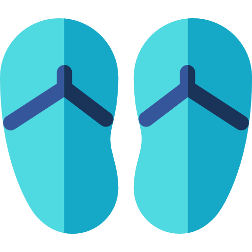Flip flops icon