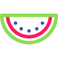 Watermelon icon 64x64