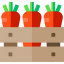 Carrots icon 64x64