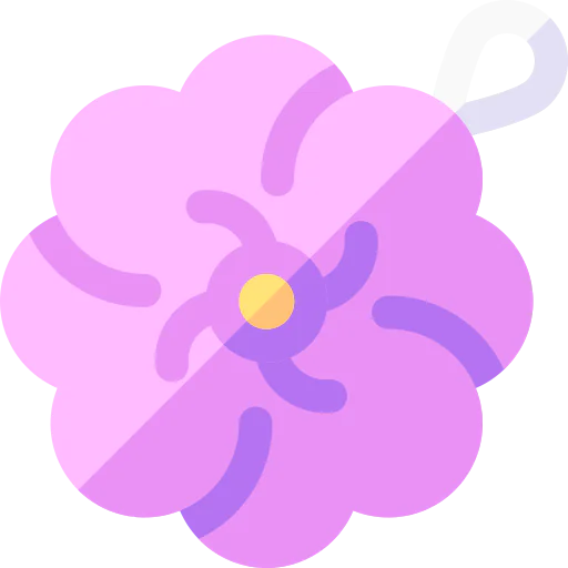 Sponge icon