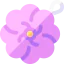 Sponge icon 64x64