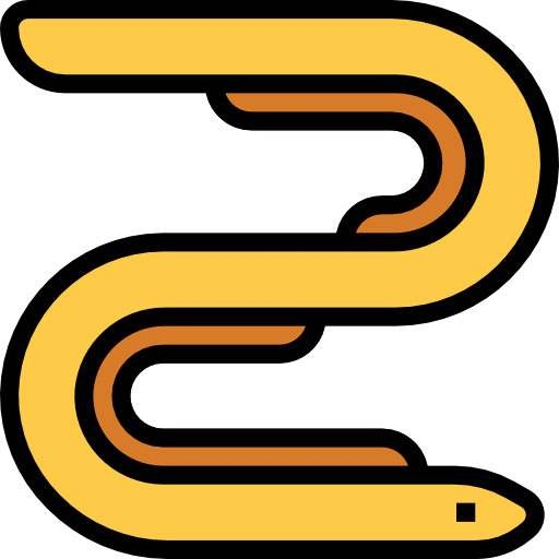 Eel icon