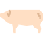 Pig icon 64x64