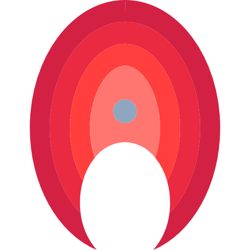 Salmon icon