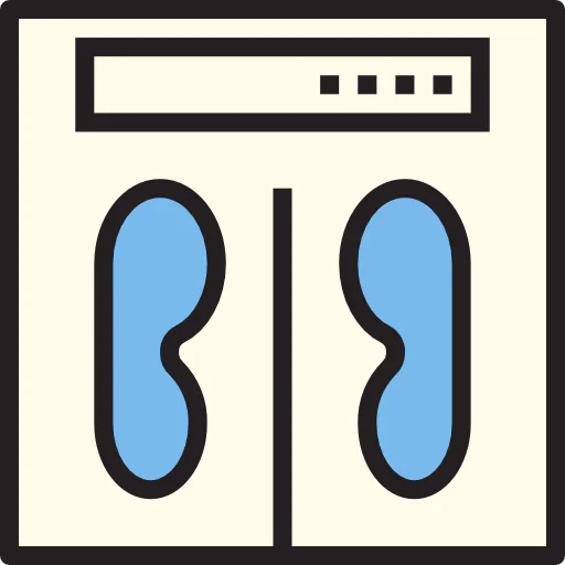Scale icon