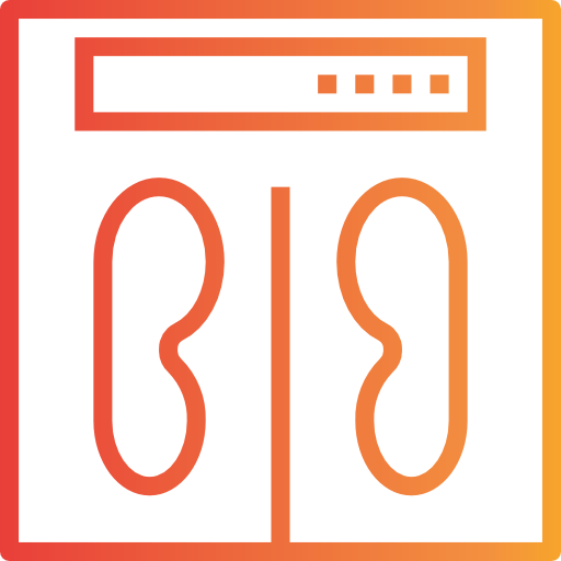 Scale icon