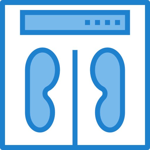 Scale icon