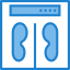Scale icon 64x64