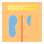 Scale icon 64x64